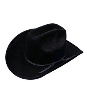Cowboy Hat Black Felt Costume Accessory