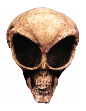  Alien Skull Halloween Decoration