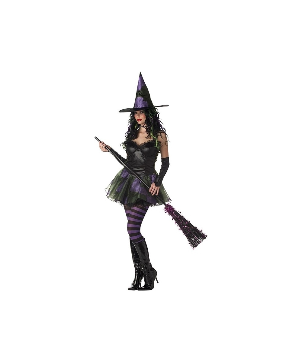  Wicked Witch West Women Costume