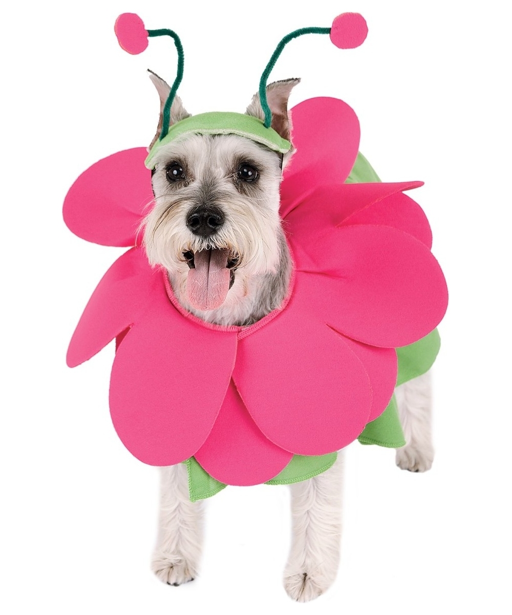  Blooming Snout Pet Costume