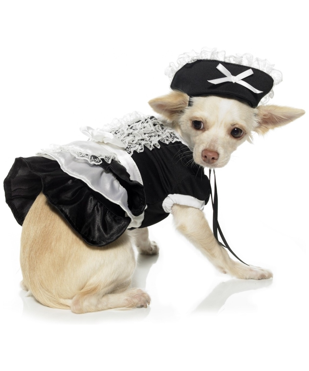 French Maid Pet Costume - Dog Costumes