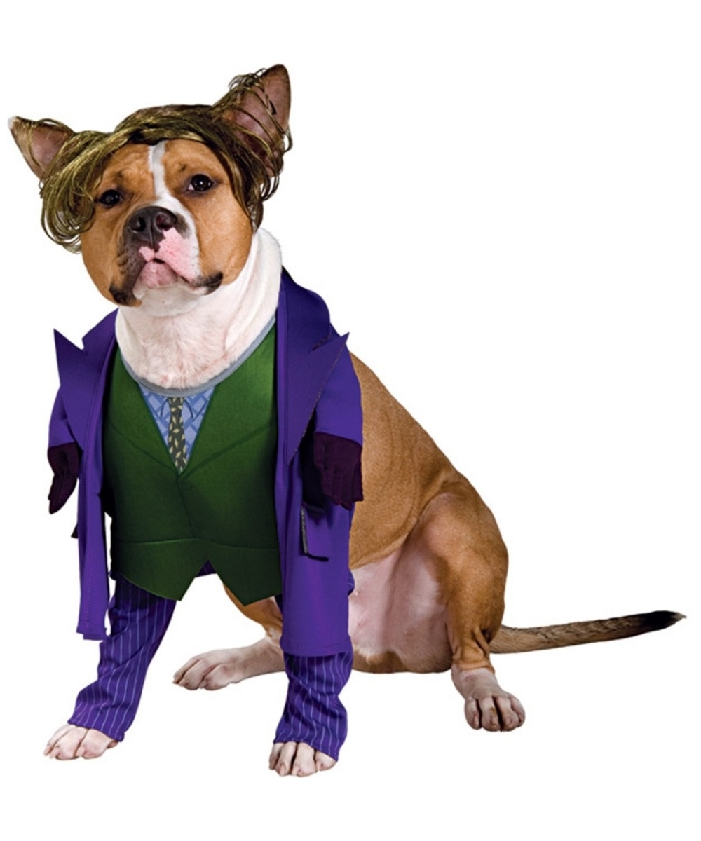 Knight Joker Pet Costume