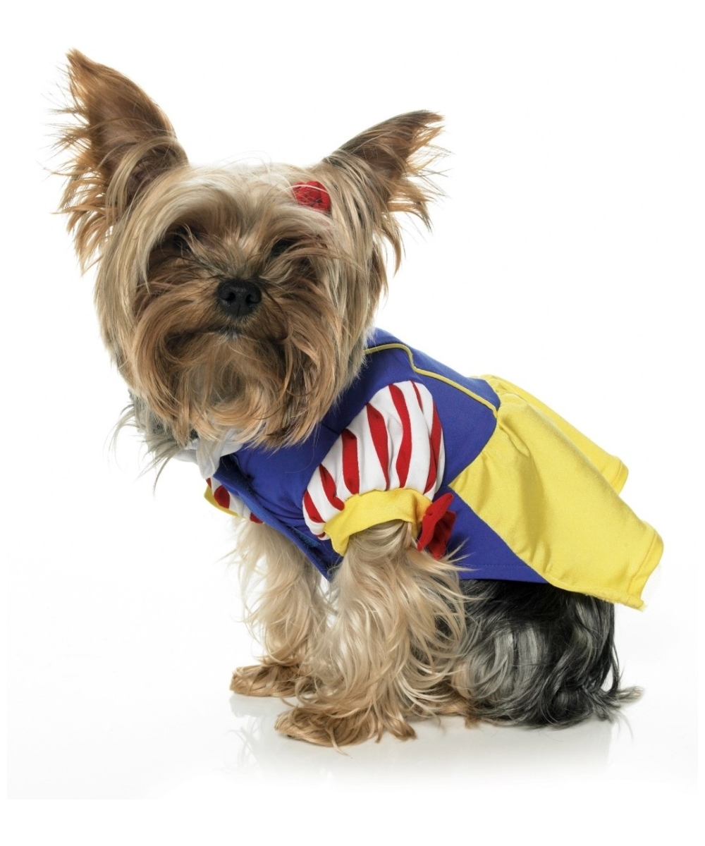  Snow Pet Costume