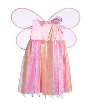 Ribbon Fairy Costume - Toddler Costume