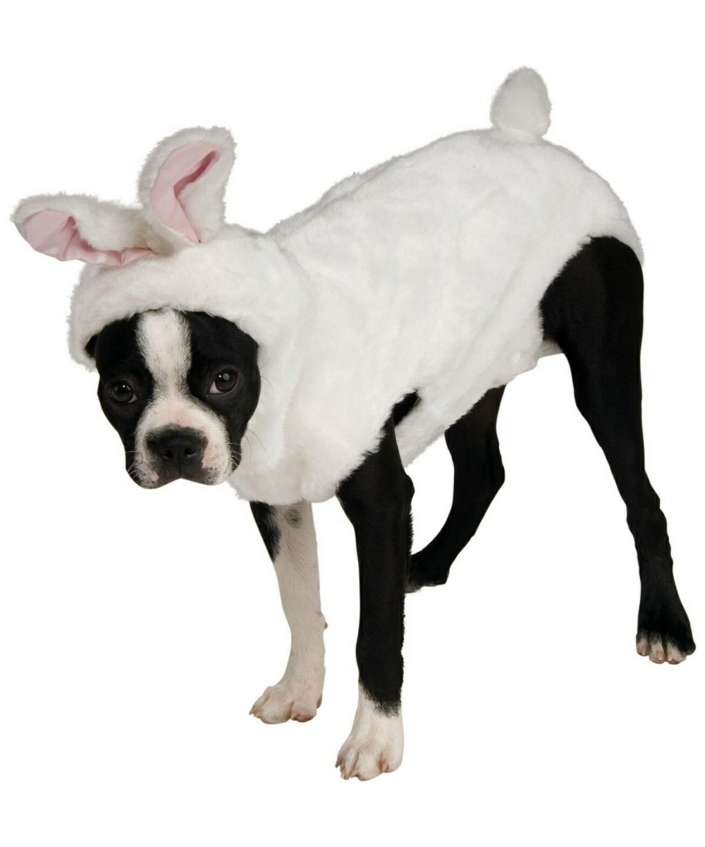 Bunny Dog Costume