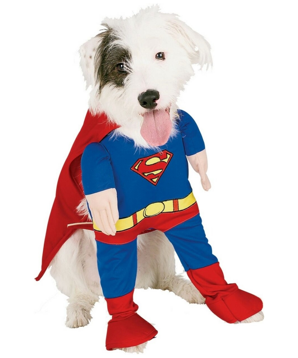  Superman Pet Costume