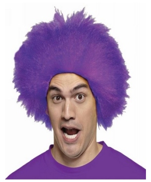 Fun Purple Adult Wig