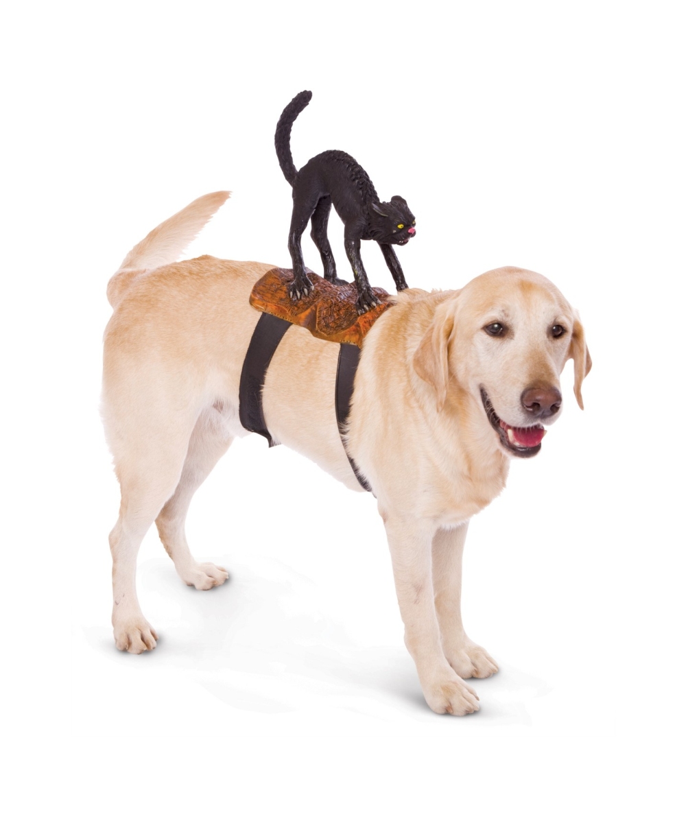  Cat Rider Pet Costume