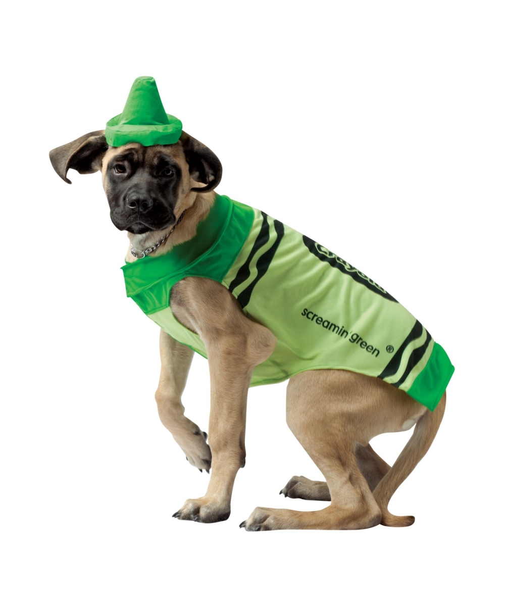  Crayola Green Crayon Pet Costume