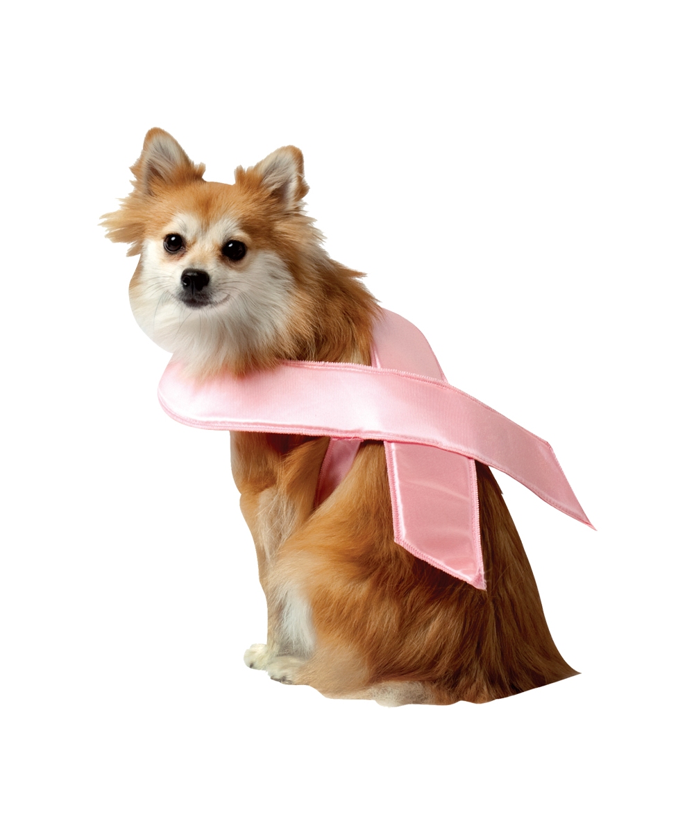  Pink Ribbon Pet Costume