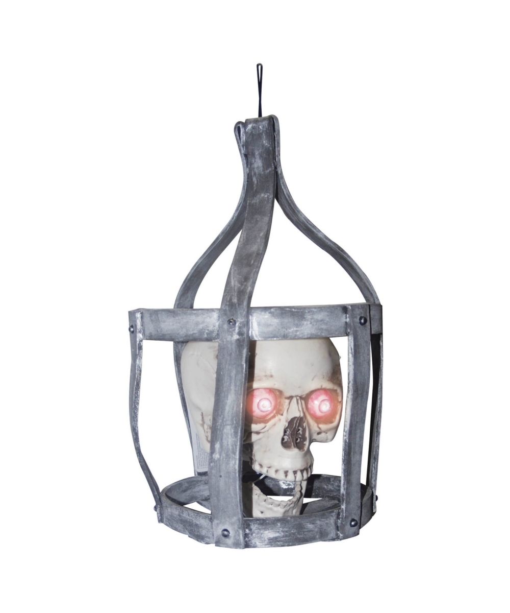  Skull in Cage Prop