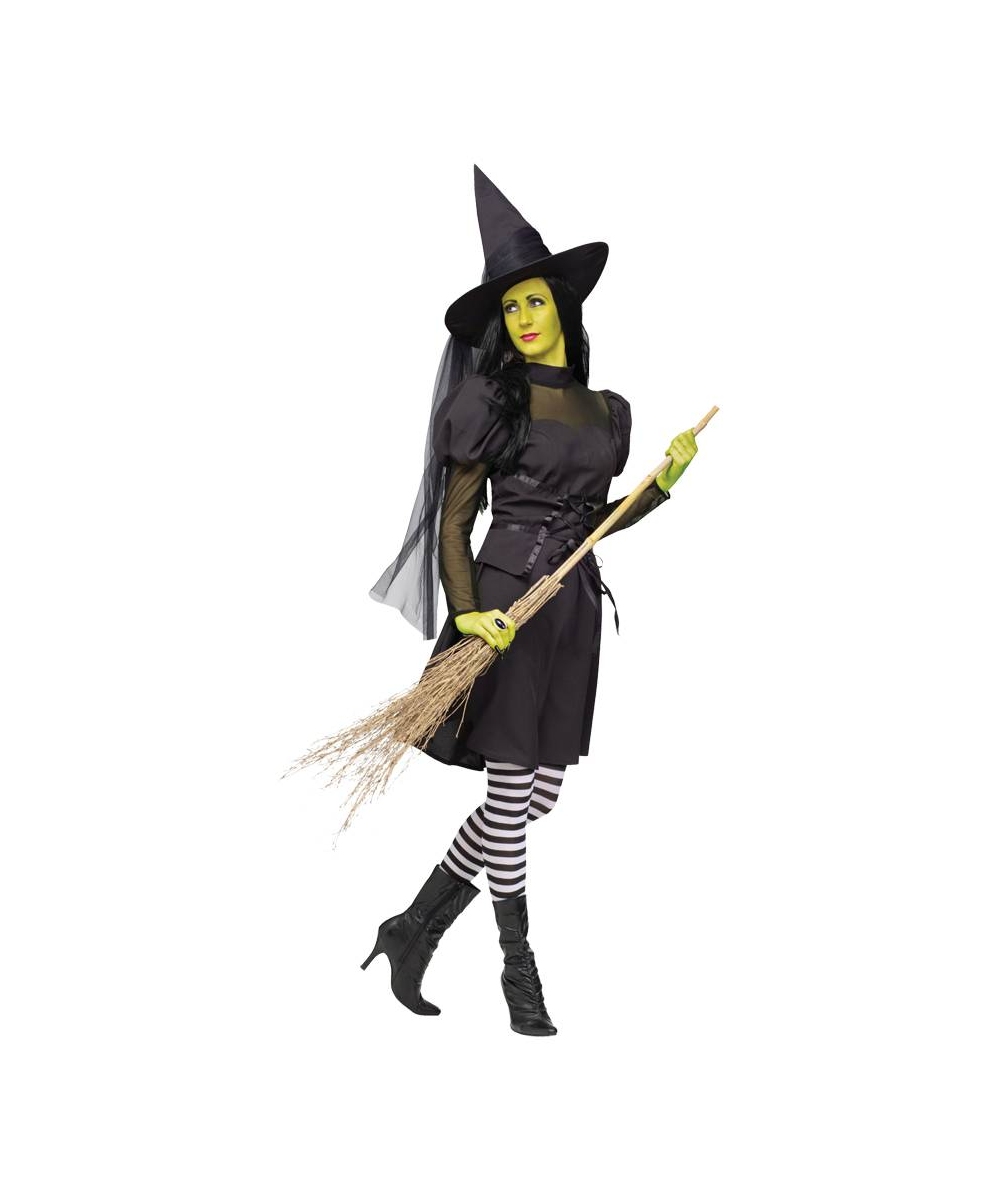 Wicked witch of the west costume for adults sale