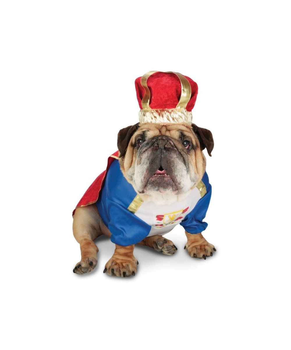  Zelda Canine King Pet Costume