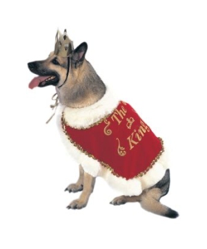 King Pet Costume