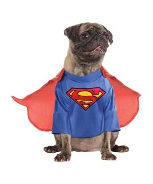  Superman Pet Costume