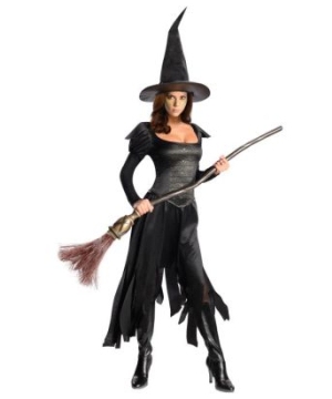 Wizard of Oz Wicked Witch Women Costume
