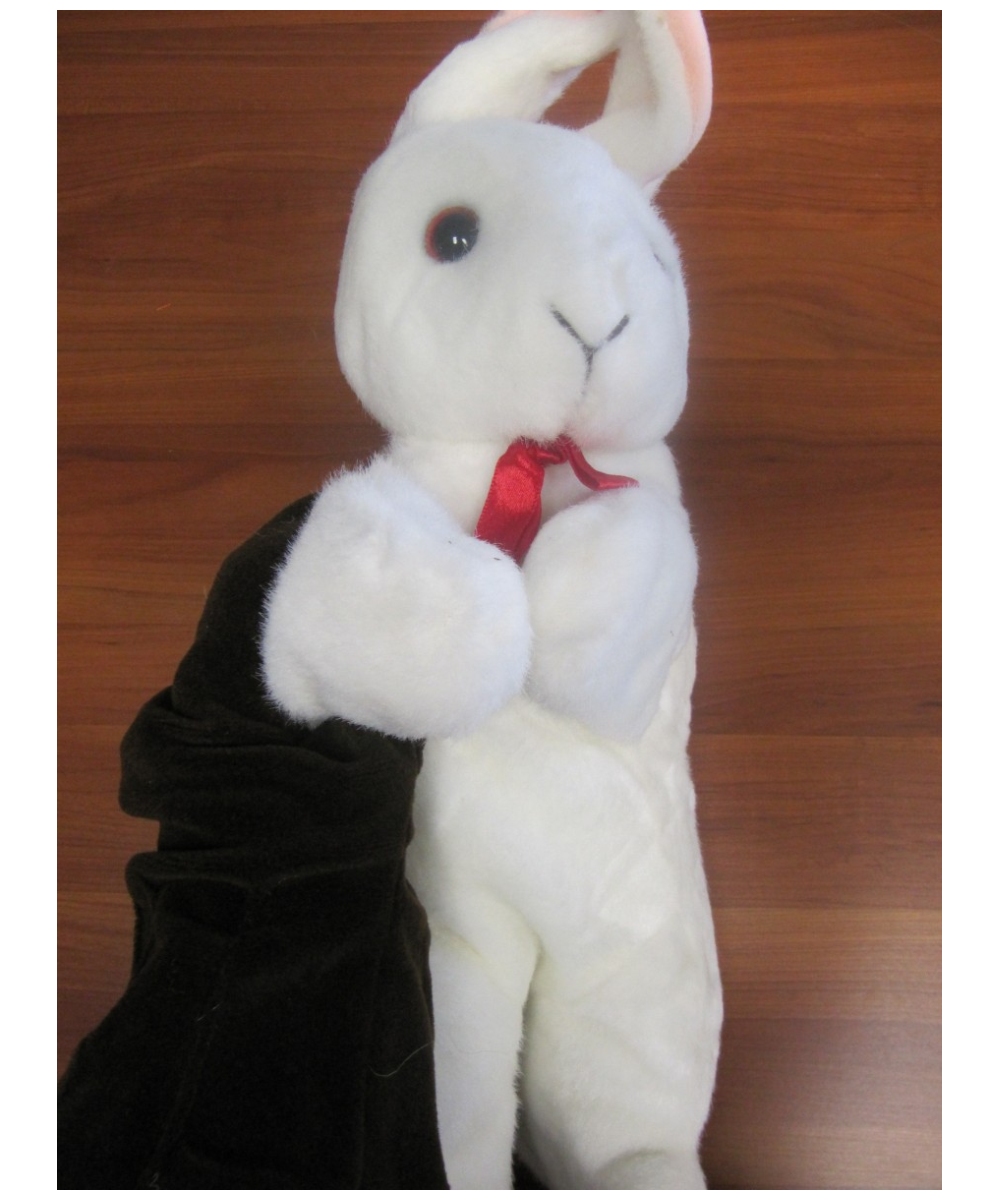  Magic Two Handed Bunny Puppet