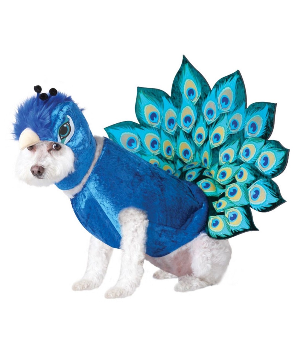 Peacock Pet Costume