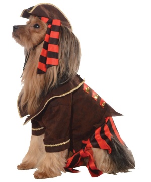 Pirate Pet Costume