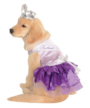 Prettiest Pooch Pet Costume