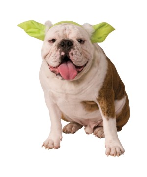 Star Wars Yoda Headpiece Pet Costume