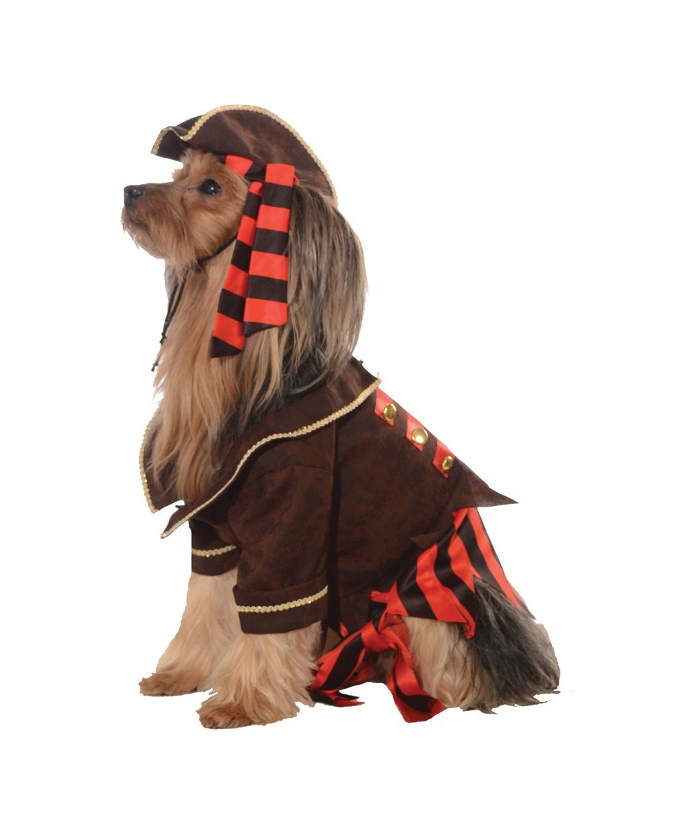  Pirate Pet Costume