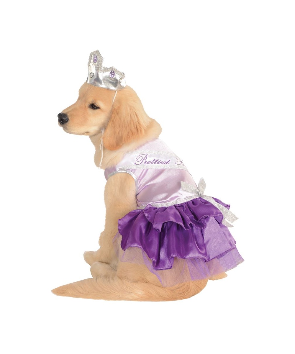  Prettiest Pooch Pet Costume