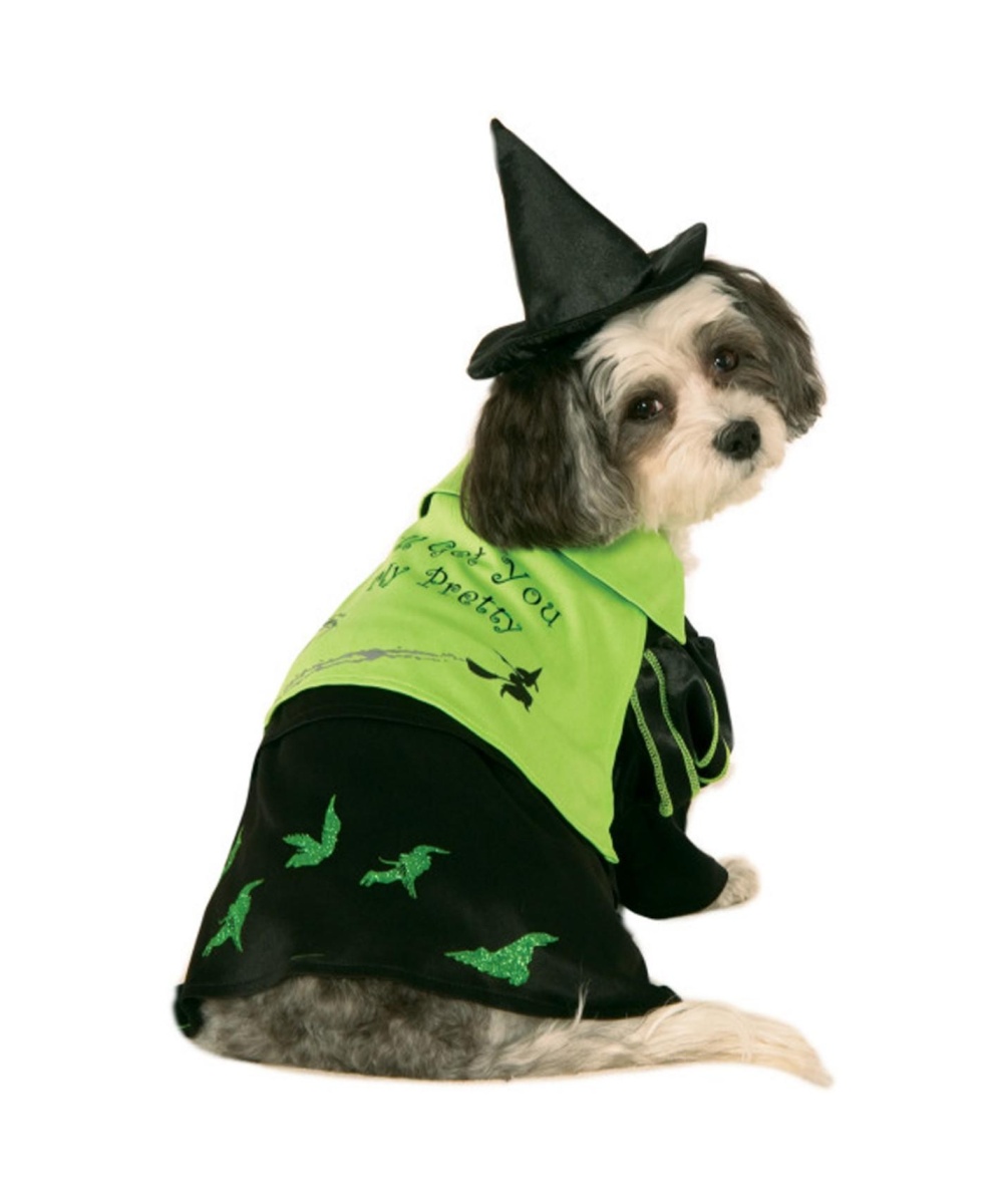  Wicked Witch West Pet Costume