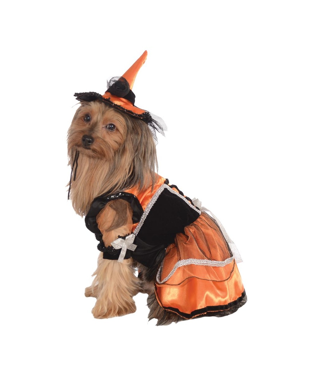  Witch Pet Costume
