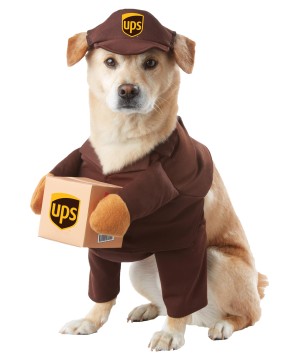 Ups Dog Costume