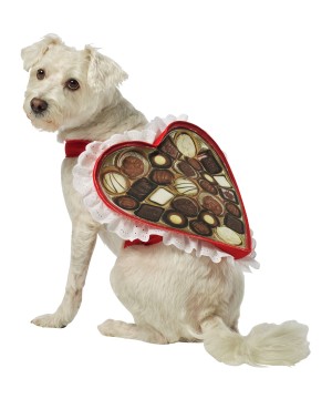Heart Box of Chocolates Pet Costume