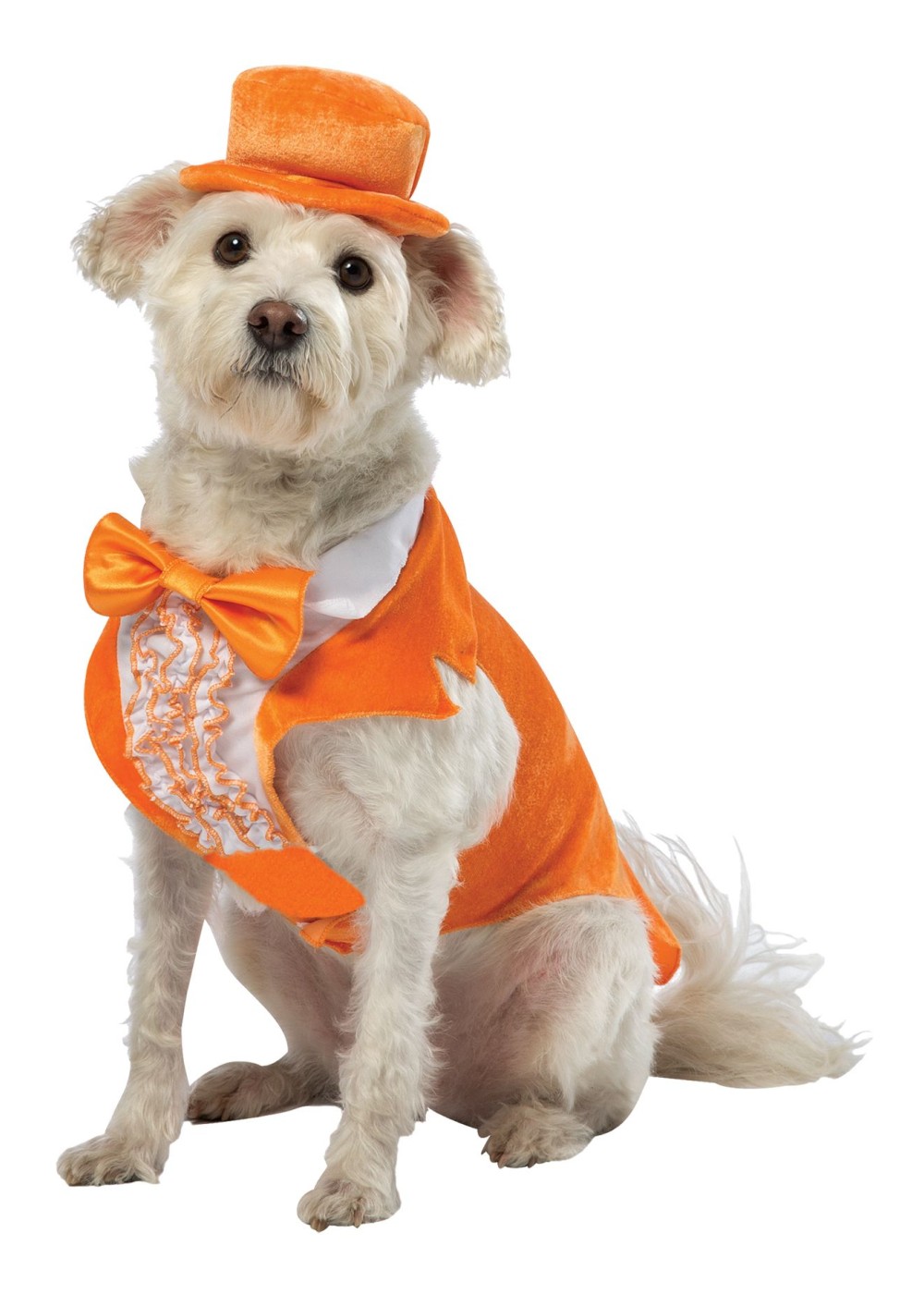 Dumb and Dumber Lloyd Dog Costume - Pet Costumes