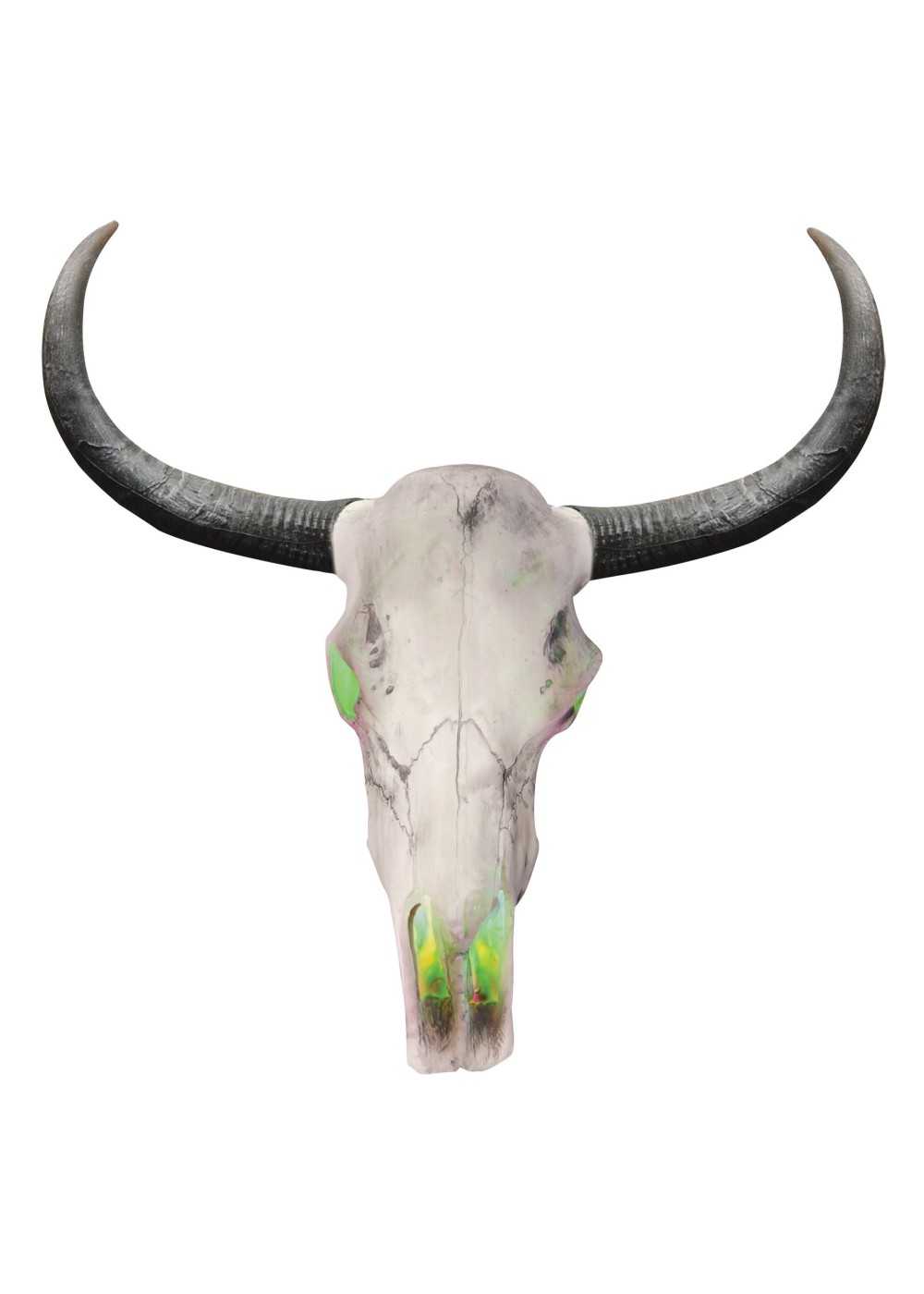 Longhorn Skull