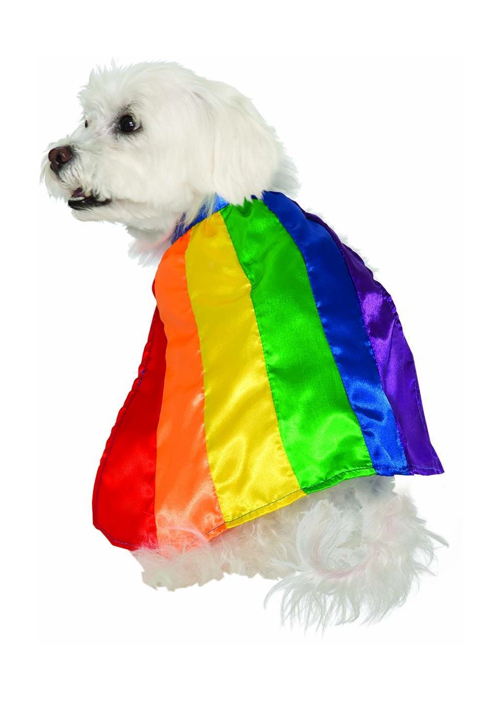 Rainbow Dog Cape