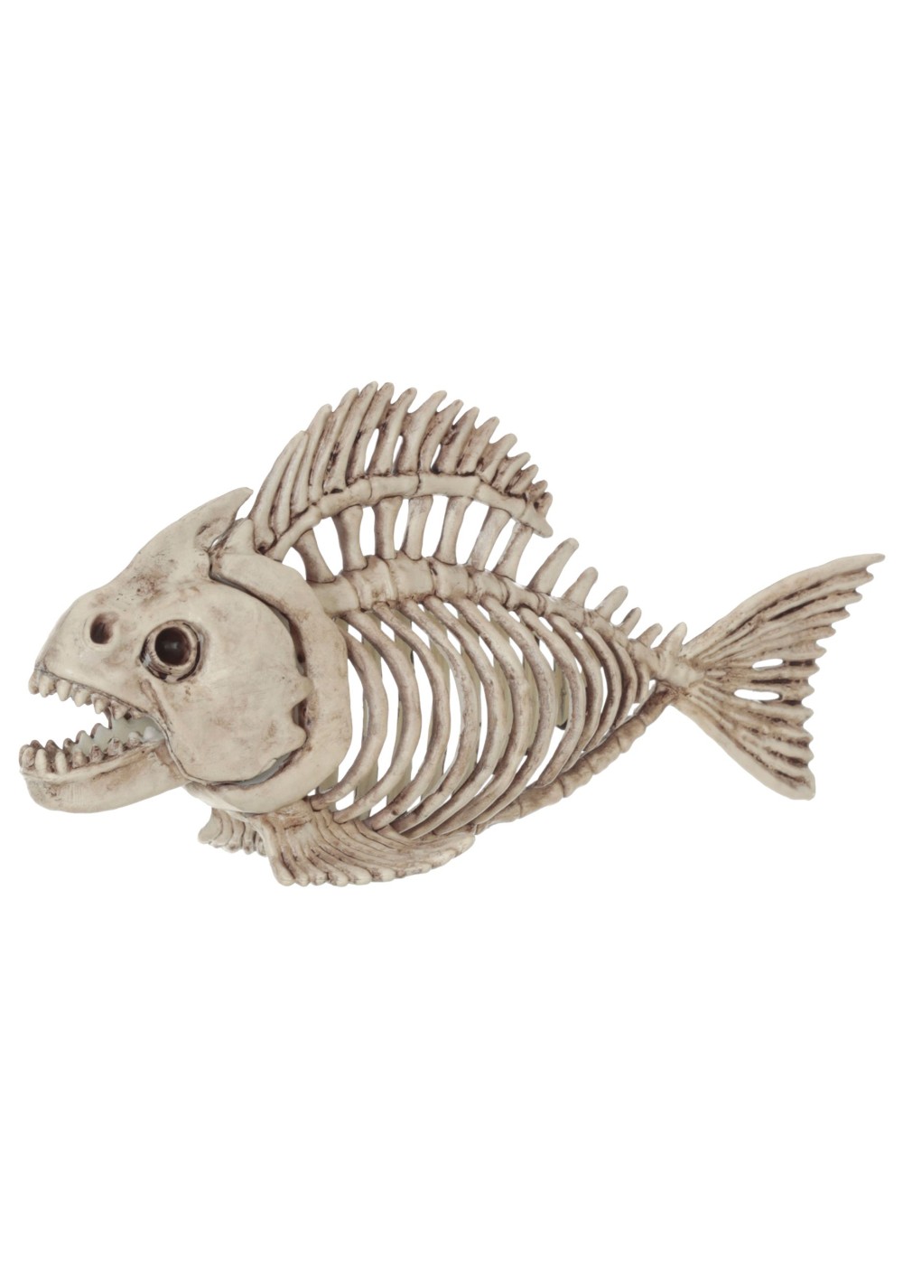 Skeleton Fish