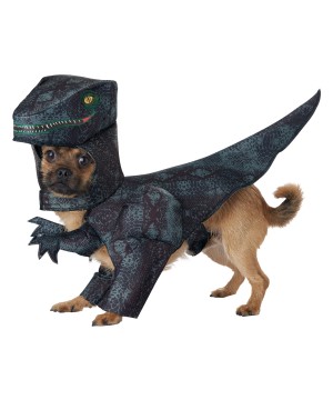 Doggy Dinosaur Costume