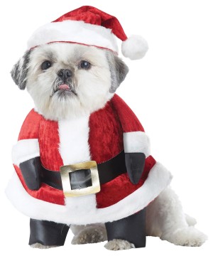 Dogs Santa Paws Costume