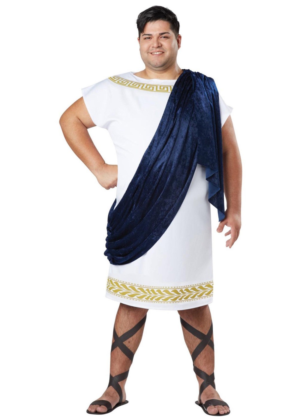 Grecian Toga Men Plus Size Costume