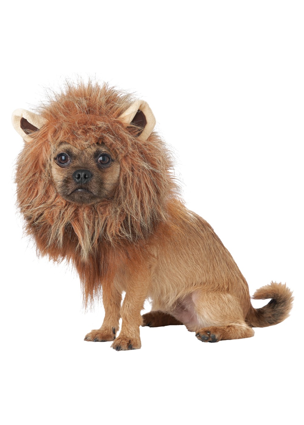 King Of The Jungle Pet Costume