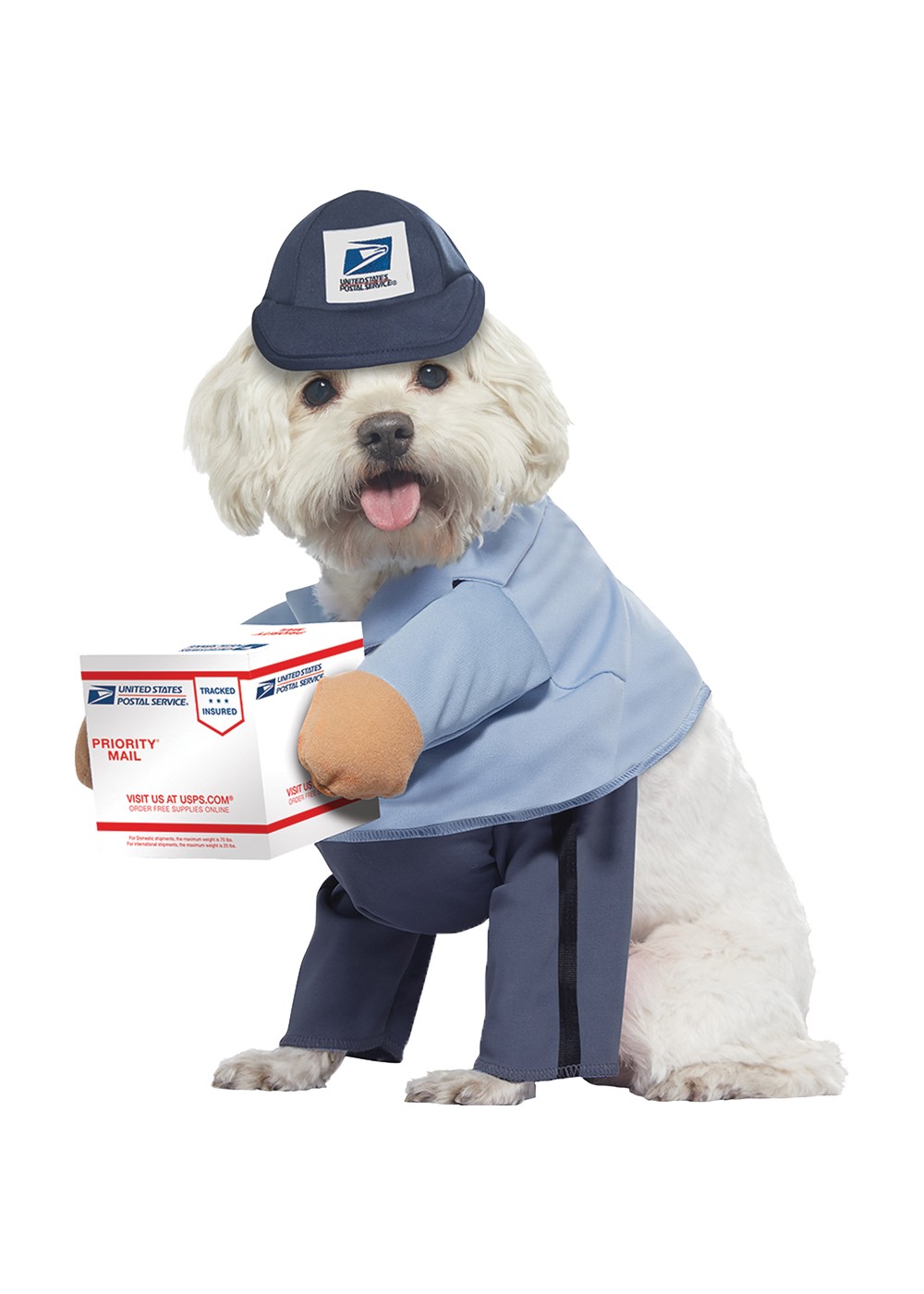 Mail Carrier Pet Costume